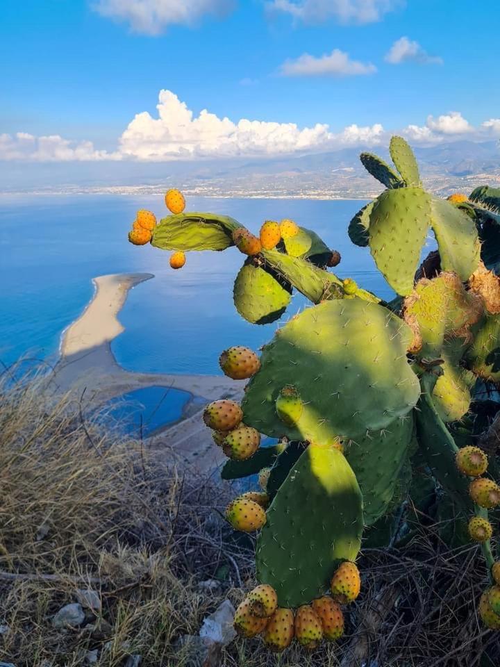 La Casa Di Rosa Διαμέρισμα Oliveri Εξωτερικό φωτογραφία
